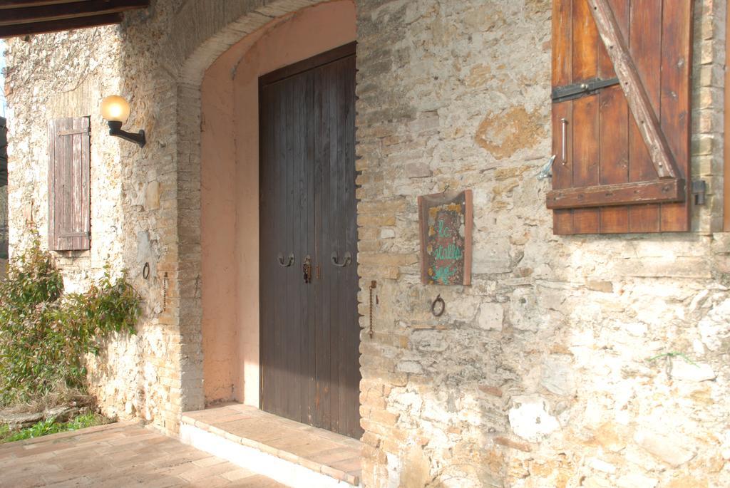 Podere Conte Racani Amelia Habitación foto