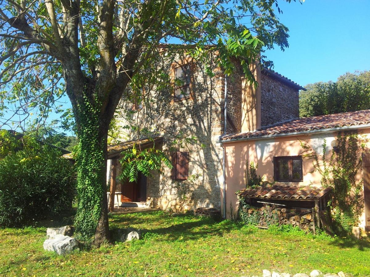 Podere Conte Racani Amelia Habitación foto